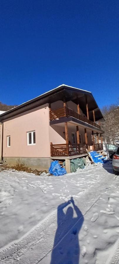 Vila Nika Crni Vrh Екстериор снимка